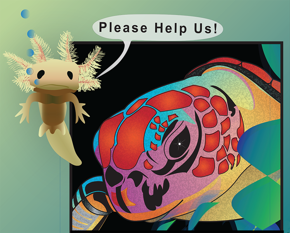 Tote Bag - Sea Turtle & Axolotl Green
