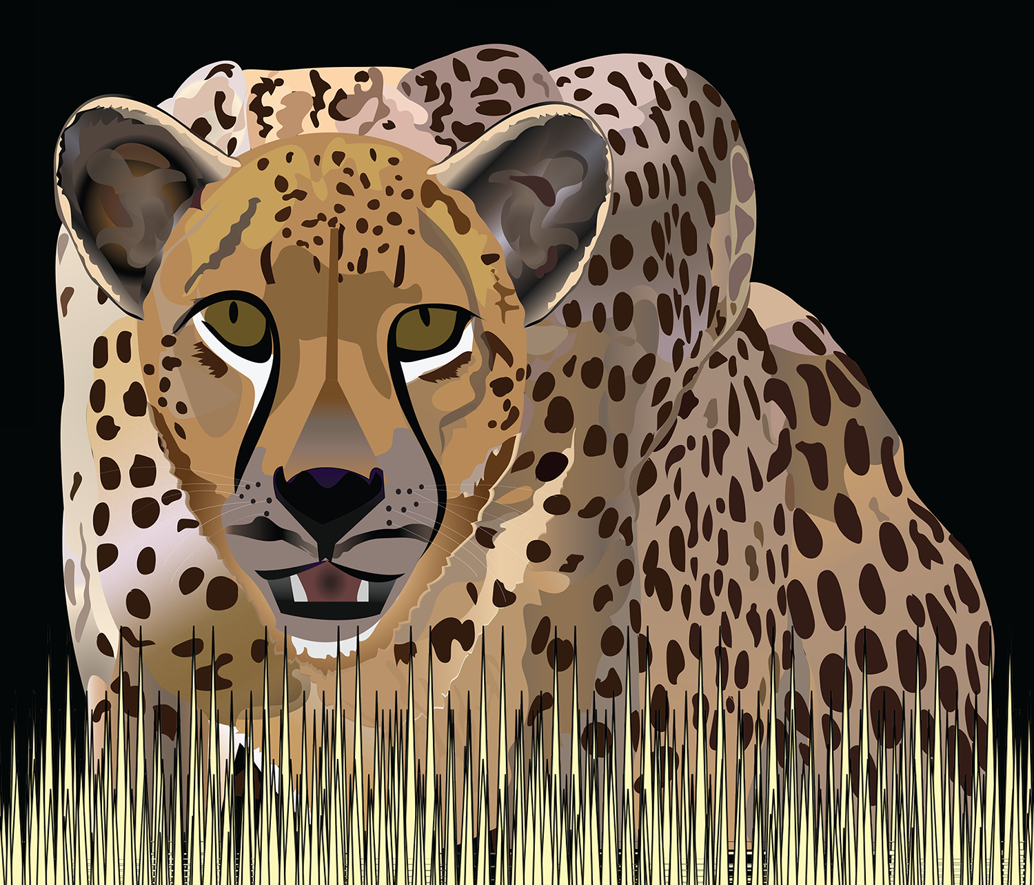 Cheetah Night and Day Long Sleeve Tee